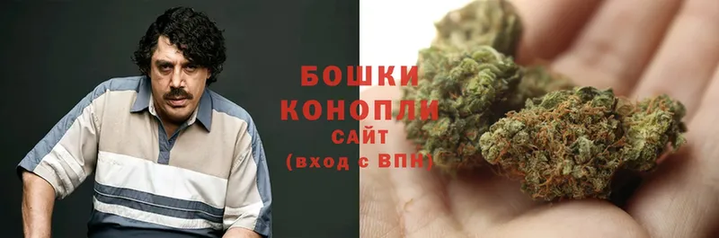 где продают   Белинский  Бошки Шишки семена 